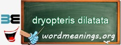 WordMeaning blackboard for dryopteris dilatata